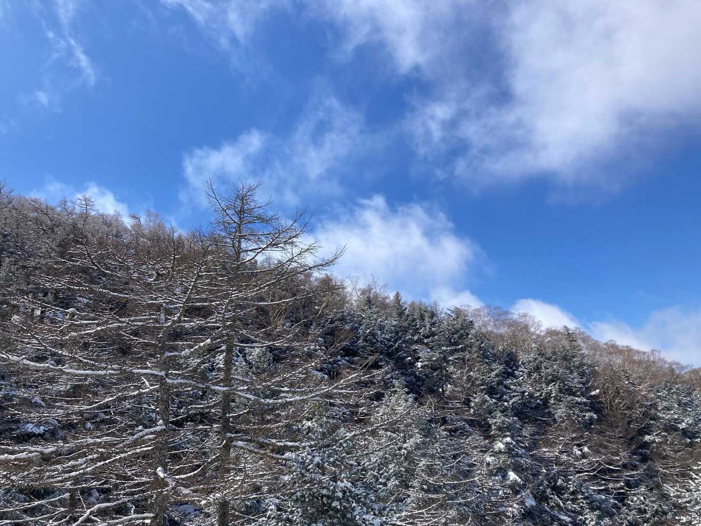 車坂峠-黒斑山 往復コースの写真