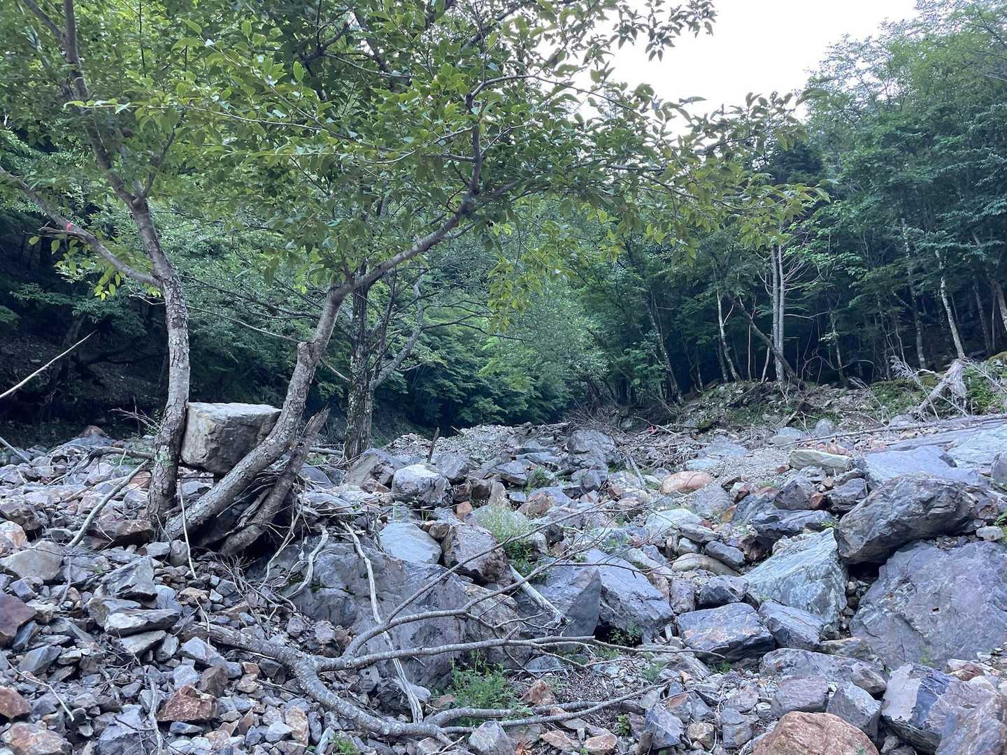 小屋の先が少しばかり分かりにくくてロストしかけたけれど、ゴロ沢歩きはとにかくピンテを見失わないように。