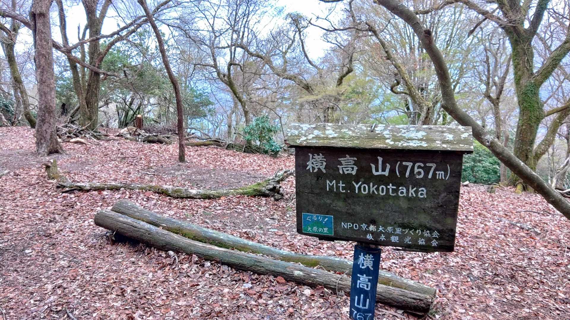 横高山山頂