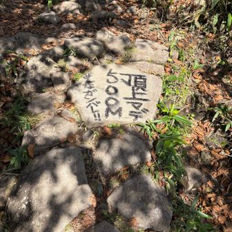 あと少し！　こーゆーの嬉しい🙌