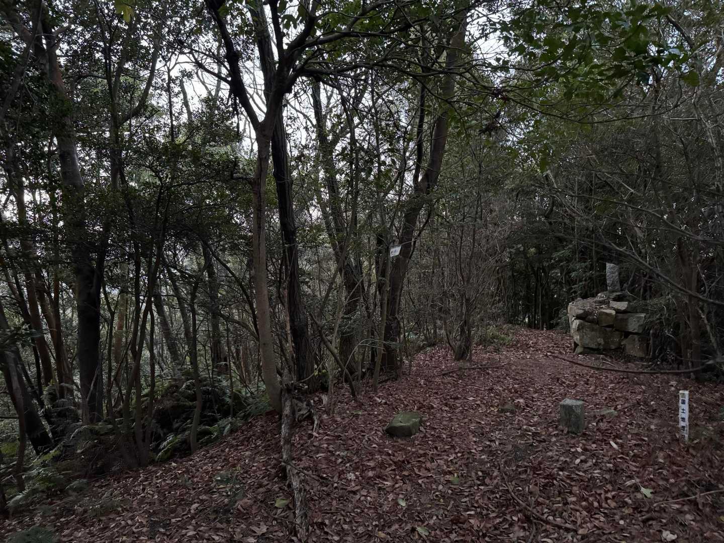 石仏さん？？風化してよくわかりませんが、お堂の　があったようです。帰りに般若心経を奉納させていただきました。