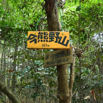 脇道（藪道）から「今熊野山」ゲット！
行かなくも100mで取れる距離ですが、やっぱり行きます。