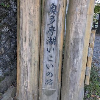 奥多摩湖いこいの路