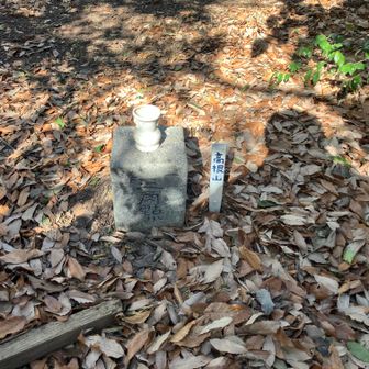 なんとか登り口ぽい場所を見つけて、あっと言う間に山頂到着。
一等三角点ですが、眺めはありません。