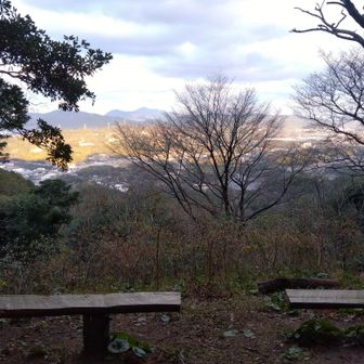 ミツマタが植えてあります✨