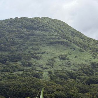 笹刈りの登山道くっきり、大雪だと奥の方にしかないからこういう山は新鮮　伊達紋別も登ってみたいね