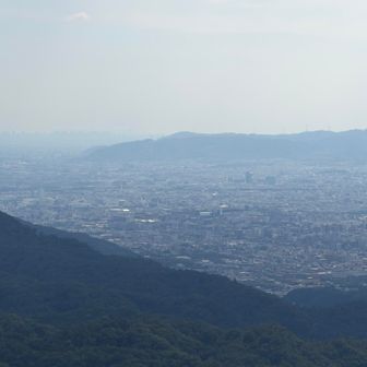 大阪のビル群見えました