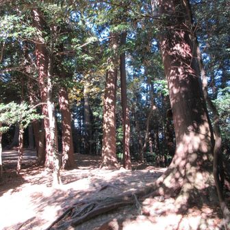 書写山に到着！