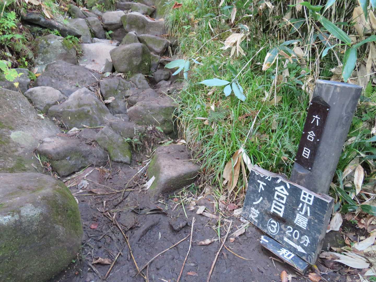 登山道はスタートしてから頂上まで、ほぼ7割方は湿った岩の道。今日は乾いているようなのでスパッツ無しです。