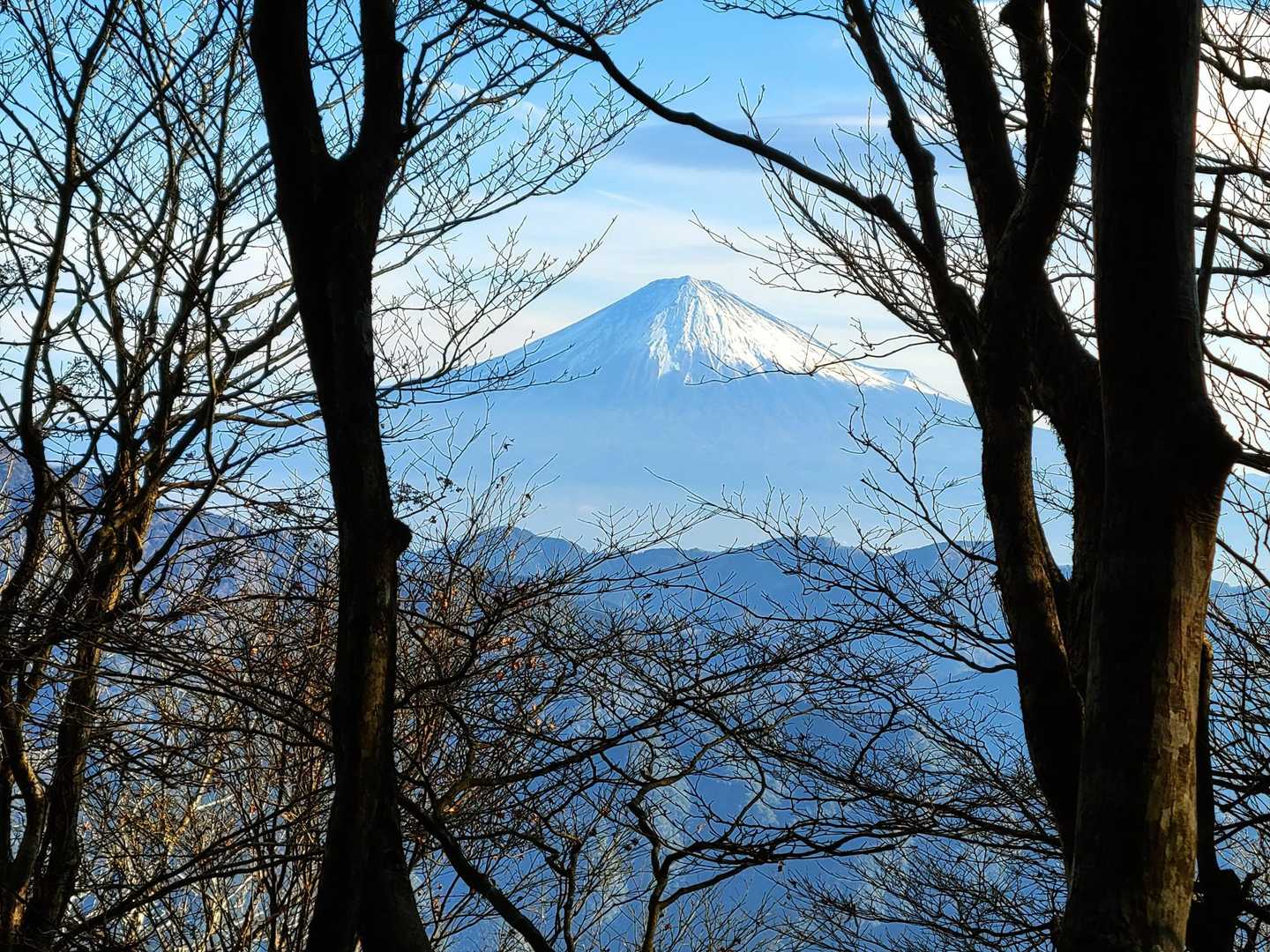 木々の間から富士山が⤴
今日は☁の予報だったから、会えると思っていなかったので、メチャ嬉しい♬