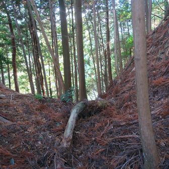 昔はもっと深く掘られてたかと･･･