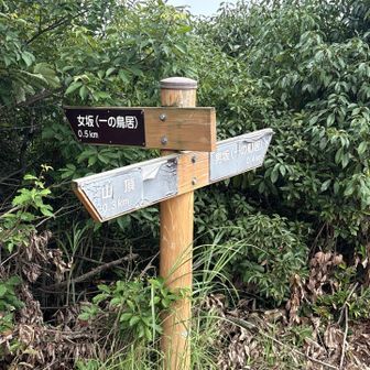 今日は女坂滑って怖いから男坂から下山します😼
一の鳥居まで女坂の方が距離があるんですね〜
