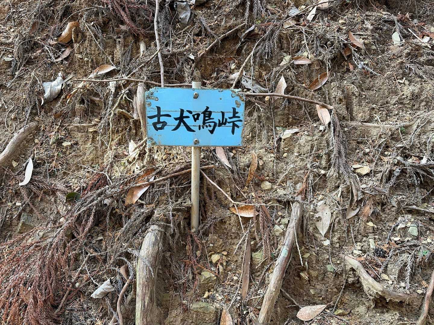 峠なのですね