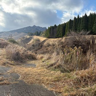 右に見えるピンク🎀を入ります