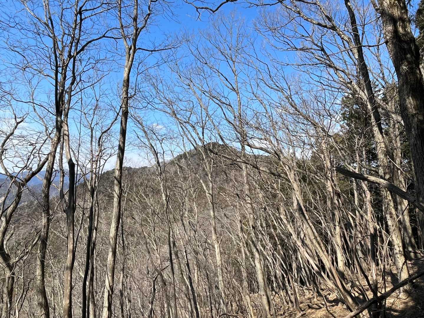 次に向かう岳ノ山　