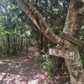 阿波竜王1059m 登頂‼️