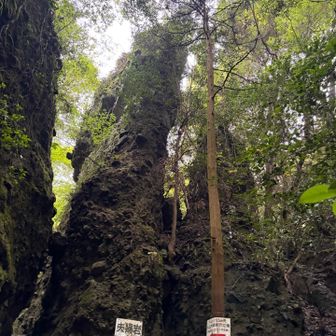 夫婦岩。真ん中に挟まってるのは子どもさんかしら。