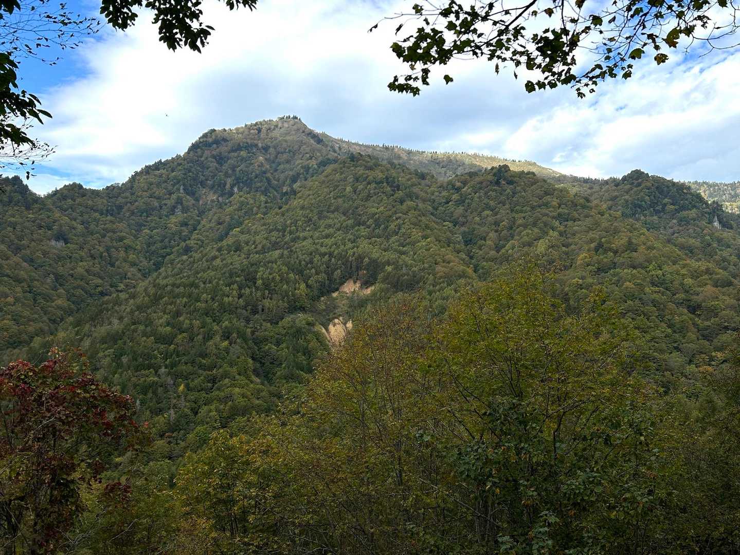 隣には大岩山。惹かれる山容だが登山道はない