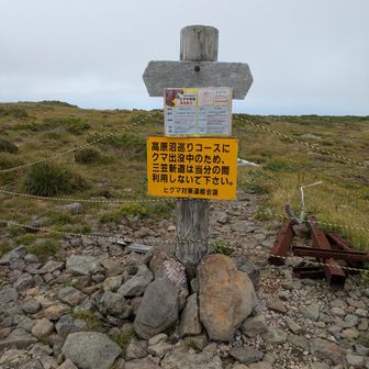 １年に2週間ほどしか開通しない幻のルート三笠新道分岐。閉鎖中。