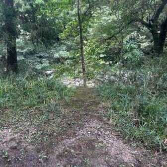 ここから沢を渡って登山口へ
これはわからんわ、、、