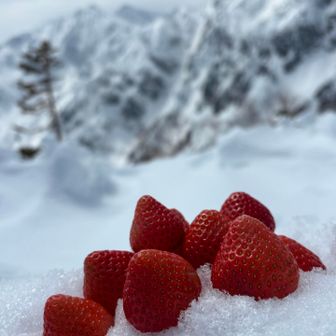 なので今日のピークでデザート🍓