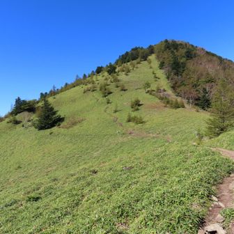 石丸峠から熊沢山を振り返り
この景色を見た瞬間に疲れが吹き飛びました😄