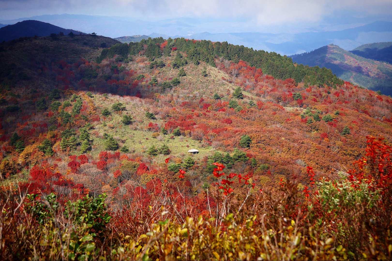 月見が丘登山口-岩樋山-道後山 往復コースの写真