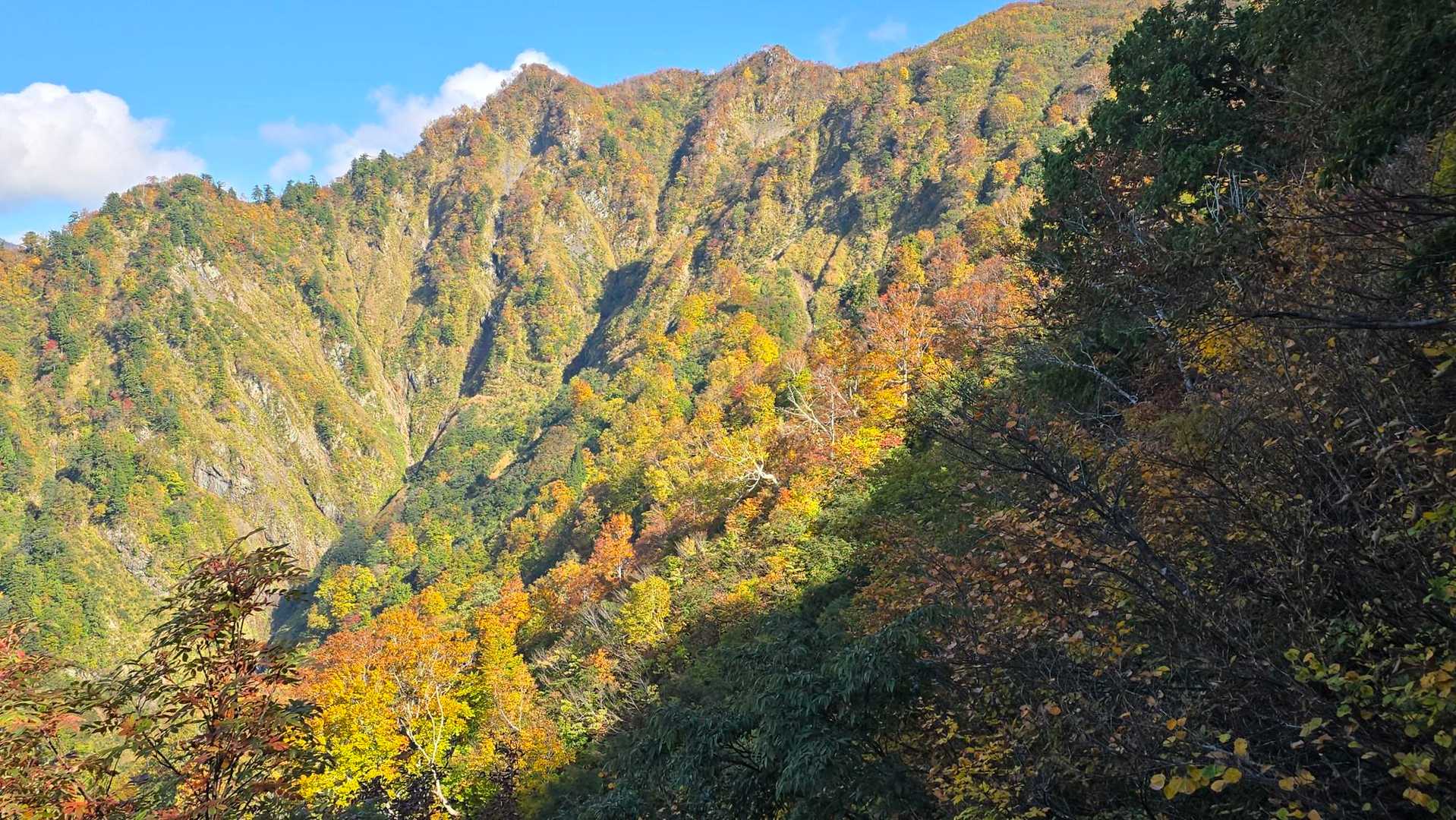 雨飾山登山口-雨飾山 往復コースの写真