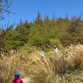 秋を感じます🍂