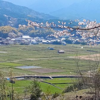 甘樫丘展望台よりの明日香の里