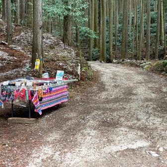 下山しました。おつかれ山〜