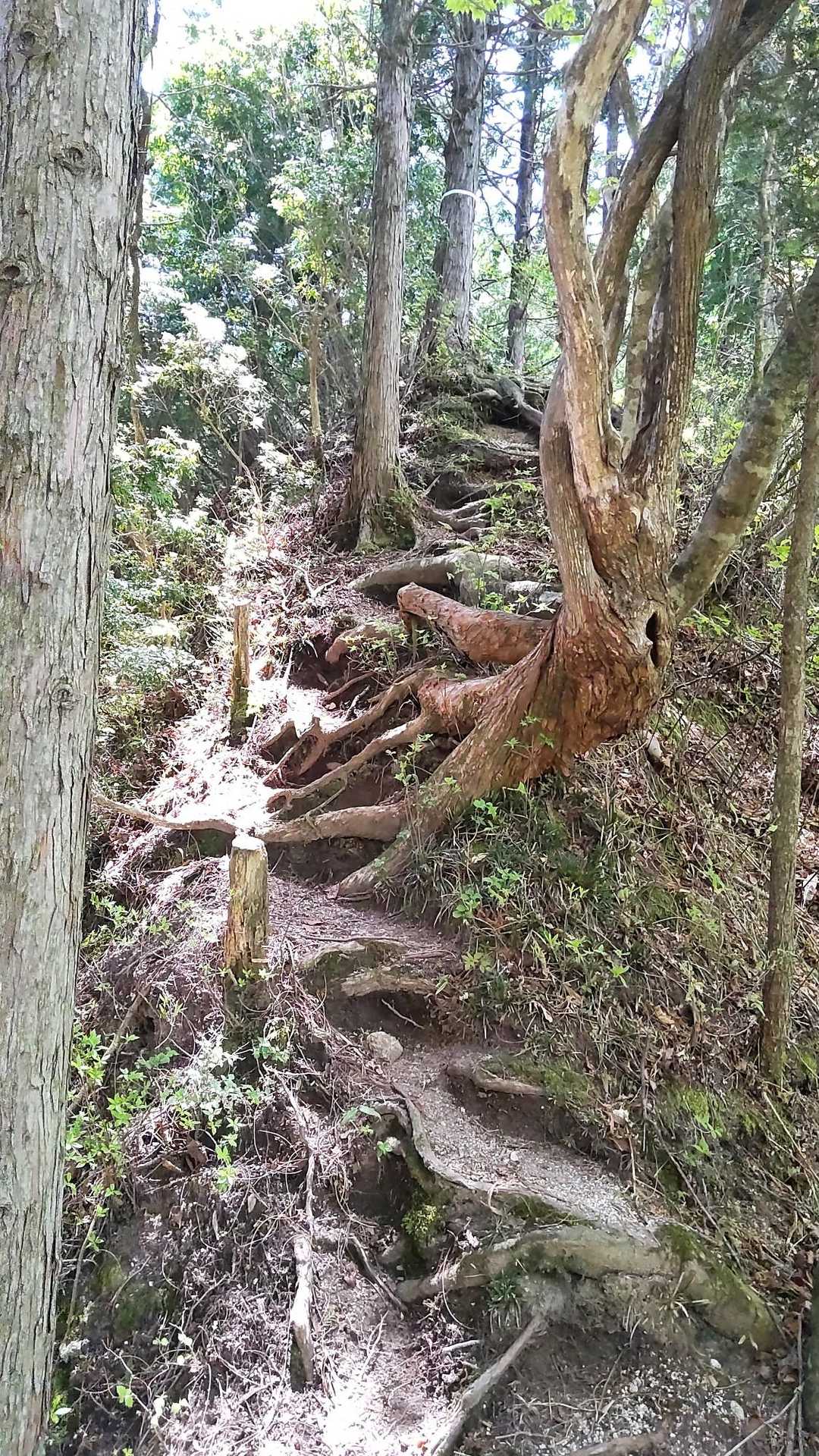 ちょっと楽しいコース