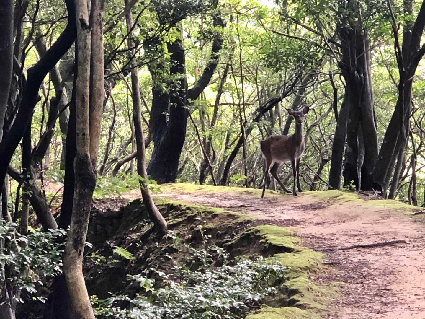 やぁ👋
