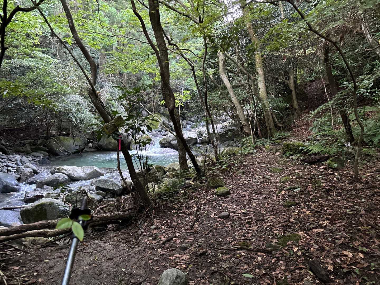 ポールを前にして　綺麗な沢の水💦
ピンク🩷テープが　必要の無い所にあるが…
このピンクテープの意味が後半に分かる😤
