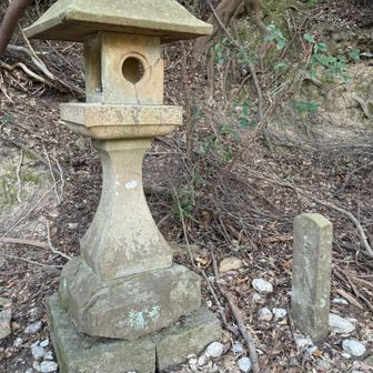 紀泉アルプス・飯盛山・ボンデン山 🧐これだけ？