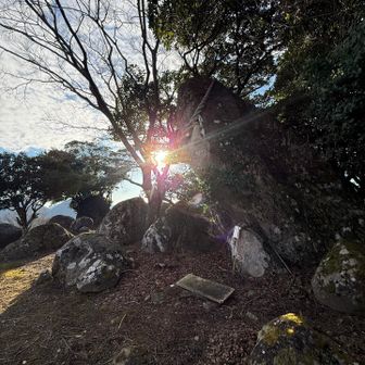 朝日が神体石に☀️