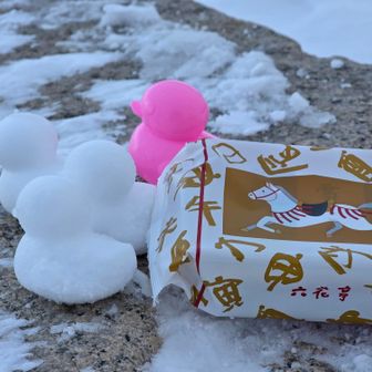 2026年も宜しくお願いします✨