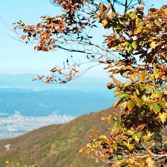 紅葉がきれい