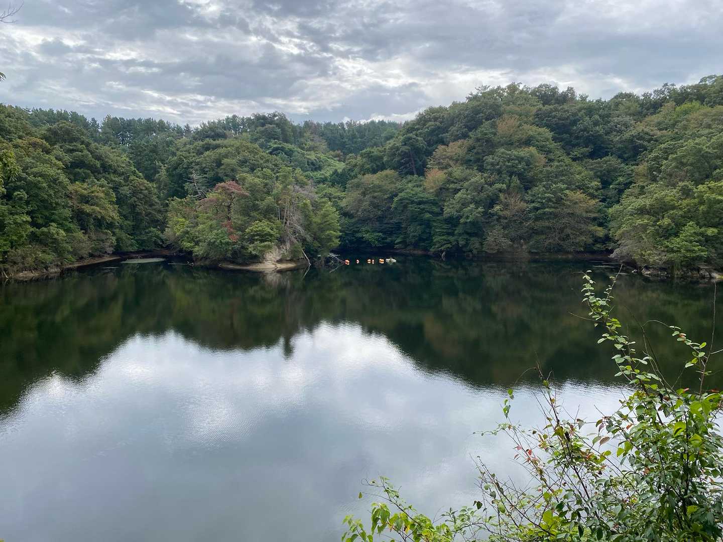 「交野市いきものふれあいの里」からの白旗池