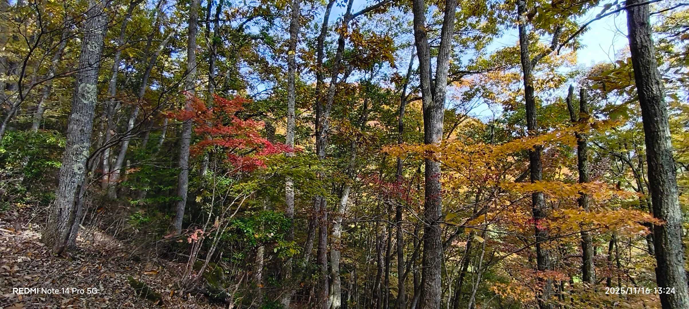 石生谷登山口-三床山 往復コースの写真