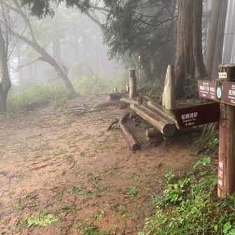 明王峠 雨足は収まらず...