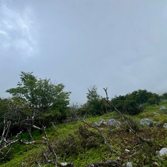 時より、山頂も見えましたが、今は見えず🤣