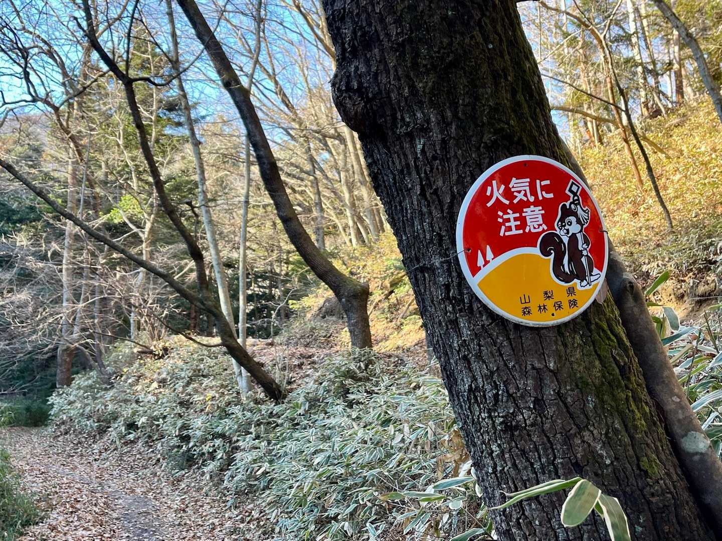 第一🐿️
このレトロなリスが好きなの😊❤️