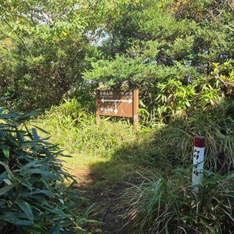 やれやれ、分岐に出ました。
左に折れます。