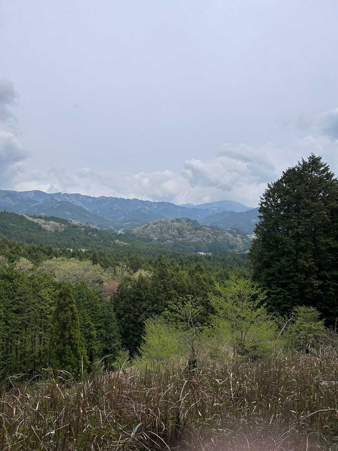 西教山 往復コースの写真