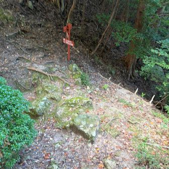 無事コルまで降りてくる。
怖かった。