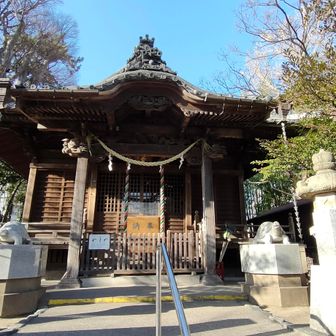 葉山・逗子駅近くの神社には狛亀がいました。さすが湘南。