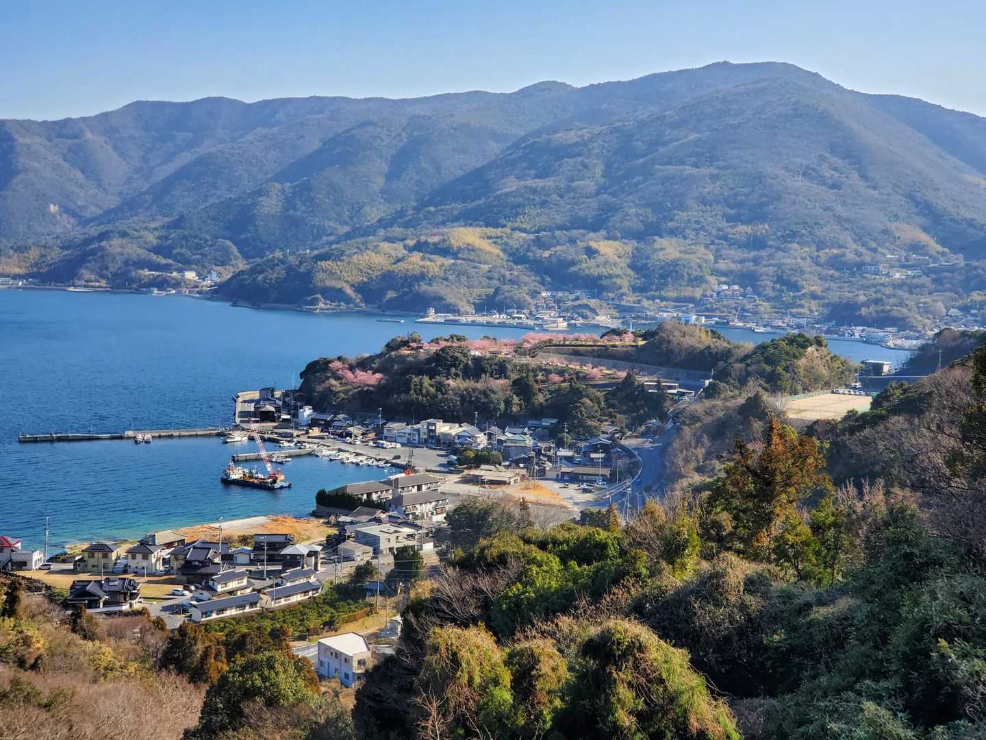 下りの途中で出発地点の方を見ると、桜が咲いているのが良く見えました😍