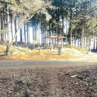 樹林帯を抜け大野峠到着