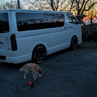 駐車場へ到着
意外と山道で予定オーバーの到着時間
ギリ行けそう？とヘッデンつけていざ！